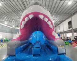 IMG 3048 1709923311 22 FT Jaws Double Lane Waterslide