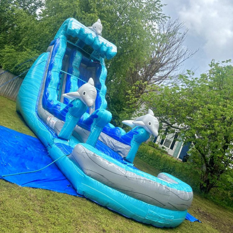 20 FT Dolphins Waterslide